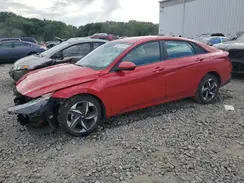 5NPLS4AG1PH116444 2023 HYUNDAI ELANTRA