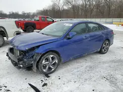 5NPLS4AG3PH092650 2023 HYUNDAI ELANTRA