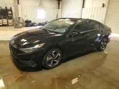 5NPLS4AG3PH092700 2023 HYUNDAI ELANTRA