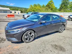 5NPLS4AG4PH087487 2023 HYUNDAI ELANTRA