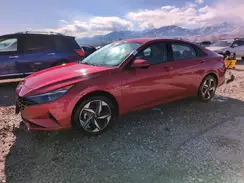 5NPLS4AG4PH118222 2023 HYUNDAI ELANTRA
