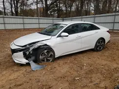 5NPLS4AG5PH107231 2023 HYUNDAI ELANTRA