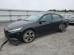 5NPLS4AG6PH096384 2023 HYUNDAI ELANTRA