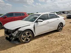 5NPLS4AG6PH101261 2023 HYUNDAI ELANTRA