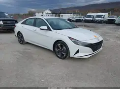 5NPLS4AG7PH112351 2023 HYUNDAI ELANTRA
