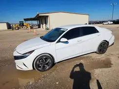 5NPLS4AG7PH113239 2023 HYUNDAI ELANTRA