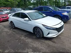 5NPLS4AG8PH092885 2023 HYUNDAI ELANTRA