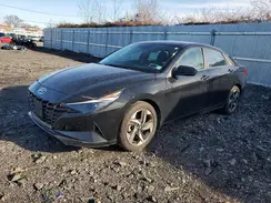 5NPLS4AG9PH098761 2023 HYUNDAI ELANTRA