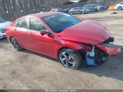 5NPLS4AG9PH099487 2023 HYUNDAI ELANTRA