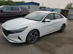 5NPLS4AG9PH109208 2023 HYUNDAI ELANTRA