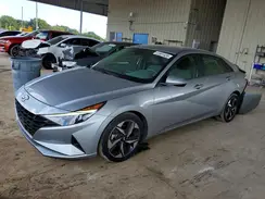 5NPLS4AGXPH090359 2023 HYUNDAI ELANTRA