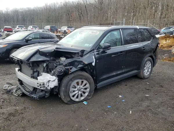 5TDAAAB50SS083736 2025 TOYOTA HIGHLANDER - Image 1