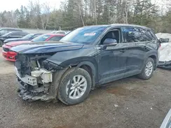 5TDAAAB58RS028137 2024 TOYOTA HIGHLANDER