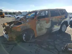 5TDACAB51RS018236 2024 TOYOTA HIGHLANDER