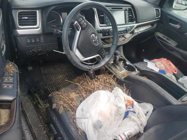 5TDDKRFH1GS350418 2016 TOYOTA HIGHLANDER - Image 8