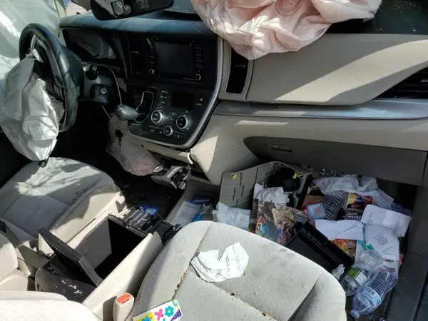 5TDJZ3DC2LS247974 2020 TOYOTA SIENNA - Image 8