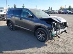 5TDJZRFHXKS563343 2019 TOYOTA HIGHLANDER