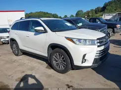 5TDJZRFHXKS567344 2019 TOYOTA HIGHLANDER