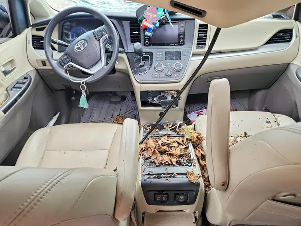 5TDKZ3DC9LS086219 2020 TOYOTA SIENNA - Image 8