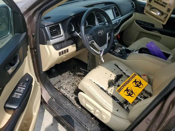5TDKZRFH5JS276270 2018 TOYOTA HIGHLANDER - Image 8