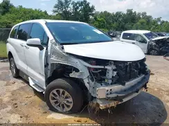 5TDYRKEC1PS151444 2023 TOYOTA SIENNA