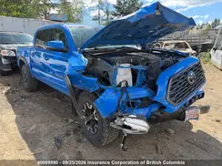 5TFCZ5AN0LX215822 2020 DODGE CHARGER