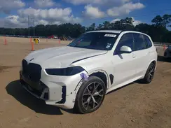 5UX13EU00R9T80712 2024 BMW X5