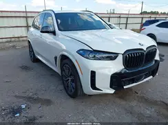 5UX13EU00R9V59011 2024 BMW X5