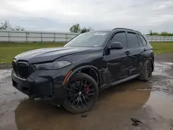 5UX13EU01S9W63481 2025 BMW X5