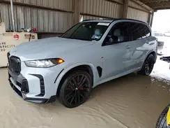 5UX13EU02R9U24290 2024 BMW X5
