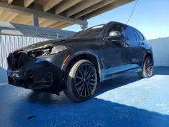 5UX13EU02R9V30352 2024 BMW X5