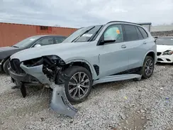 5UX13EU06S9X42385 2025 BMW X5