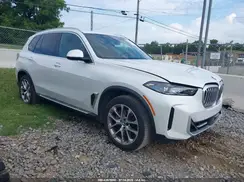 5UX13EU09R9T48163 2024 BMW X5
