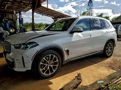 5UX13EU0XR9U20732 2024 BMW X5