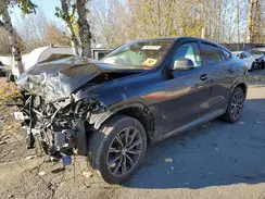 5UX33EX03S9W25691 2025 BMW X6