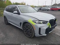5UX43EU00R9U90110 2024 BMW X5