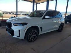 5UX43EU06S9Z69668 2025 BMW X5
