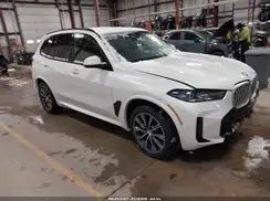 5UX43EU09R9S66365 2024 BMW X5