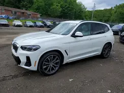5UX53DP06N9N31120 2022 BMW X3