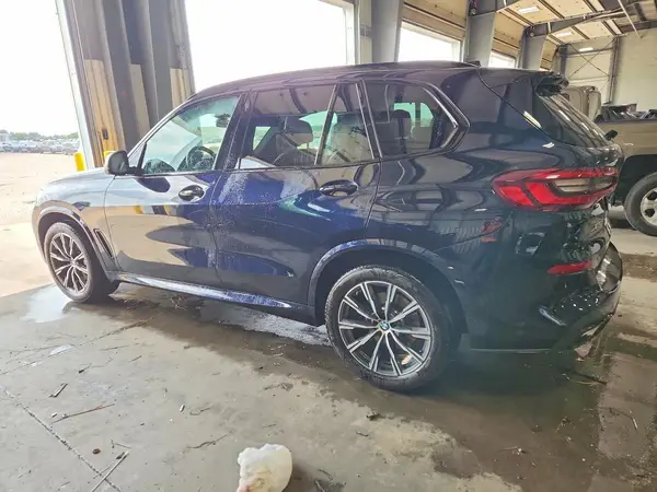 5UXCR6C03P9R96139 2023 BMW X5 - Image 2