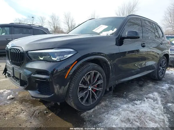5UXCR6C04P9R99079 2023 BMW X5 - Image 2