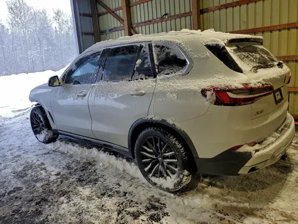 5UXCR6C50KLL62066 2019 BMW X5 - Image 2