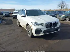 5UXCR6C51KLL06377 2019 BMW X5
