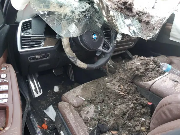 5UXCW2C03L9B44405 2020 BMW X7 - Image 8