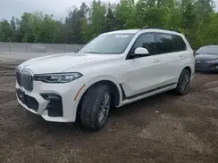 5UXCW2C50KL089566 2019 BMW X7