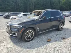 5UXJU2C54KLN64598 2019 BMW X5