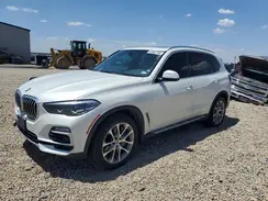 5UXJU2C55KLN67655 2019 BMW X5