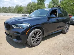 5UXJU4C01P9R91533 2023 BMW X5