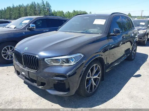 5UXTA6C03P9N81846 2023 BMW X5 - Image 2