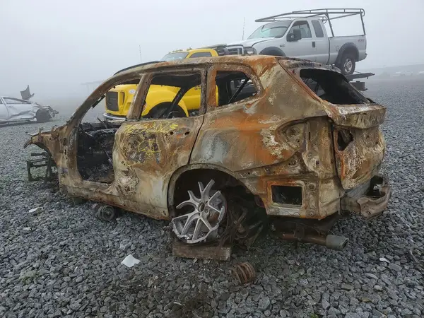 5UXTR7C58KLE94081 2019 BMW X3 - Image 2